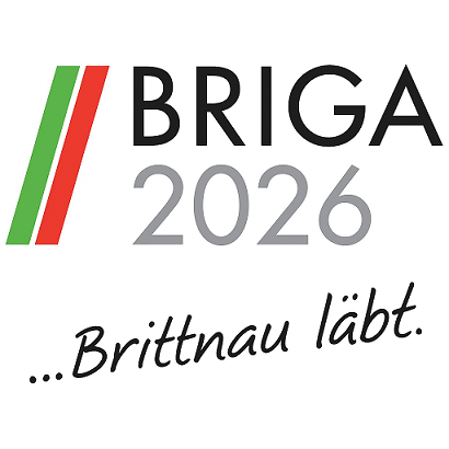 BRIGA26_1jowfdu2sw98.png